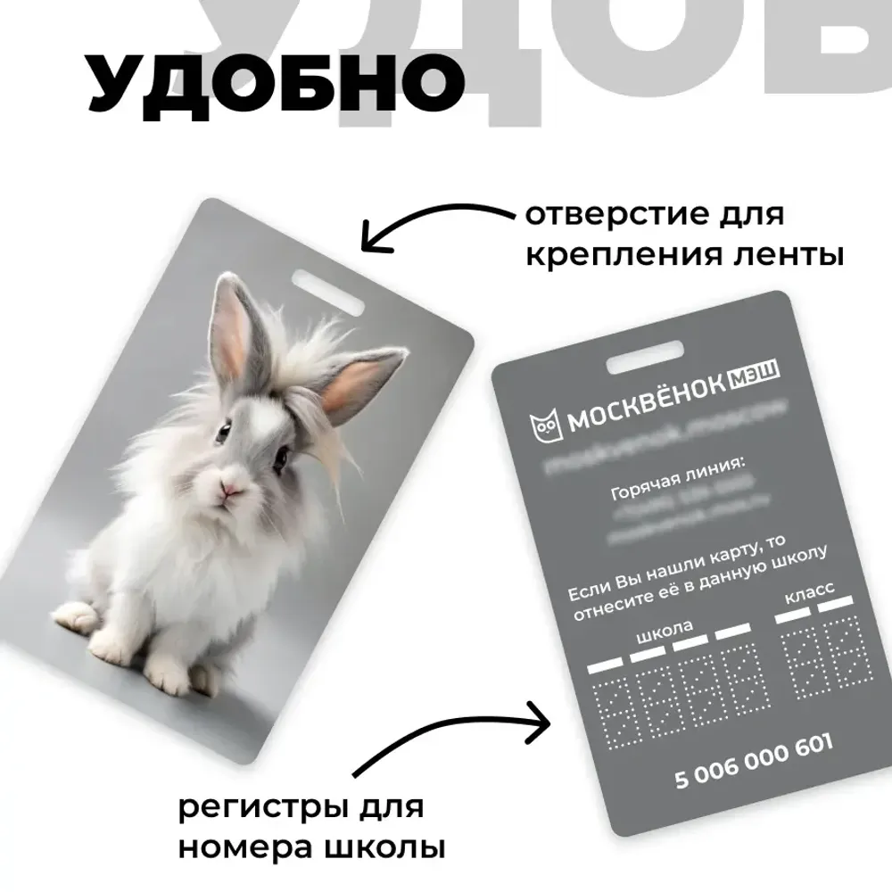 Карта Москвёнок BUNNY №3 (проход + питание)