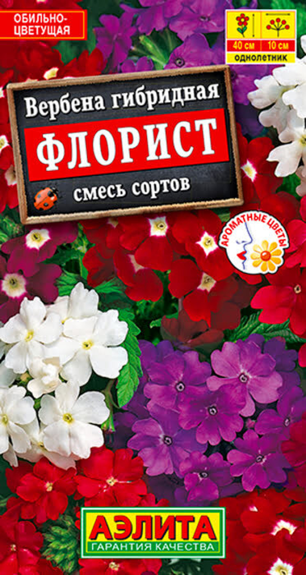 Вербена Флорист смесь сортов 40шт.
