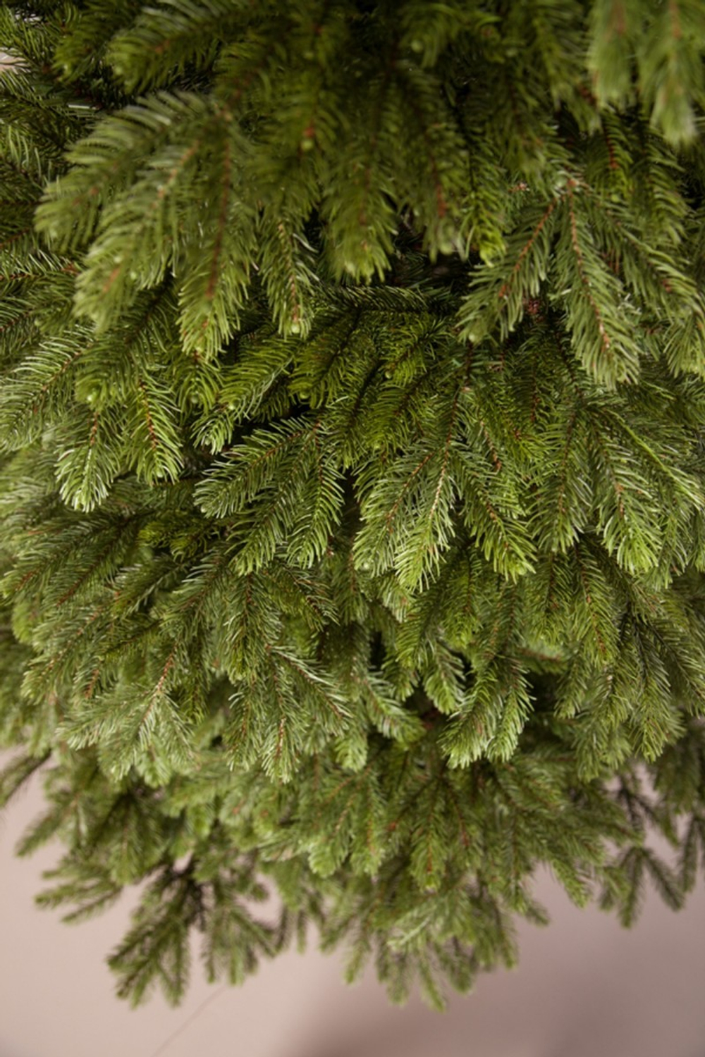 Ель 185см Black Box Коттеджная зеленая