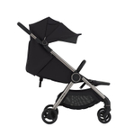 Коляска ANEX IQ Darke (2в1+багги)