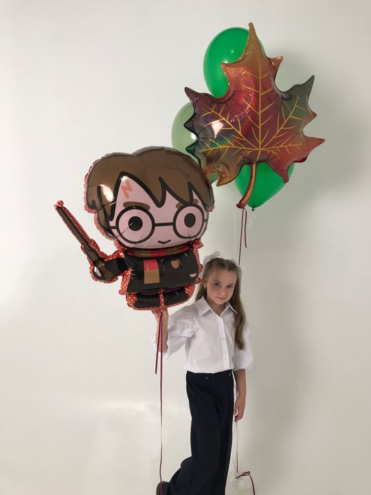 Сет "С Поттером"