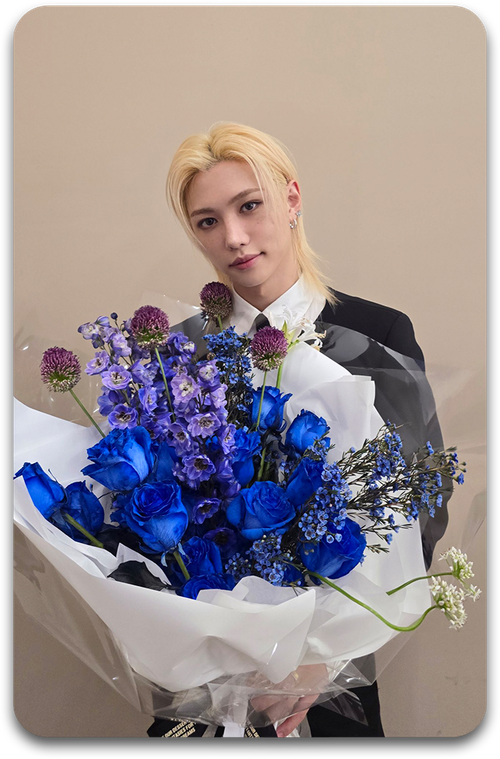 Карта / STRAY KIDS #4881