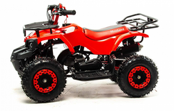 Квадроцикл MOTOLAND (МОТОЛЕНД) SCORPION 50E