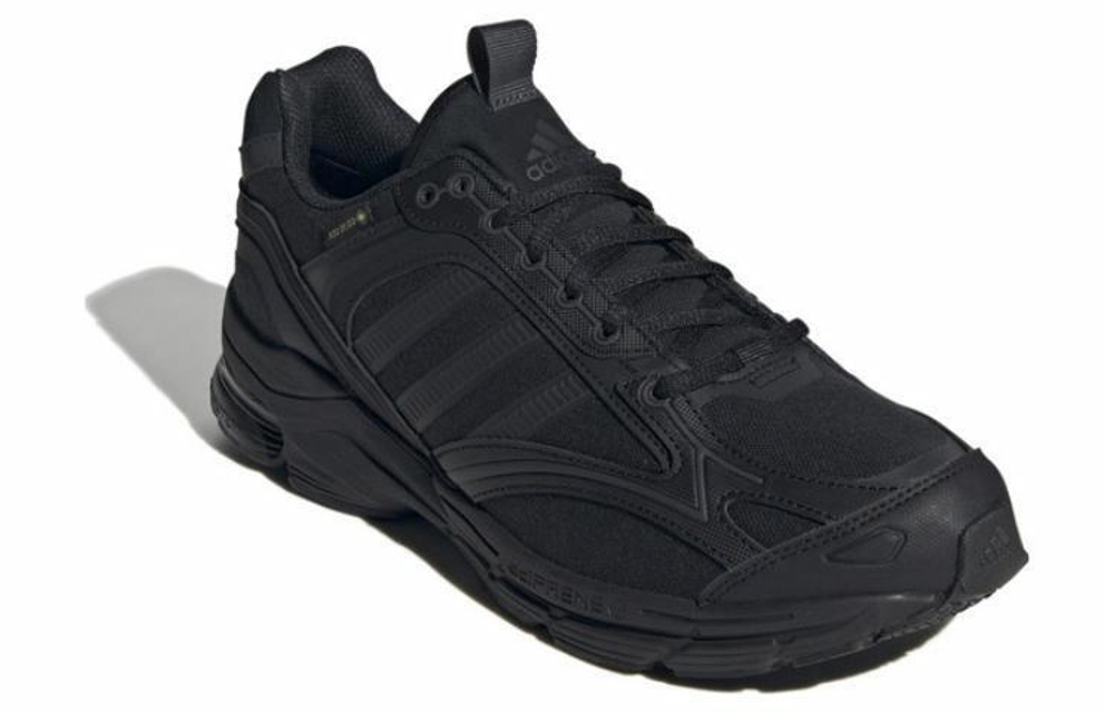 Кроссовки Adidas Spiritain 2000 Gtx