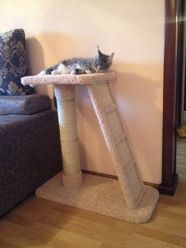 Когтеточка К-15