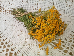 Веник для бани Пижма Пучок