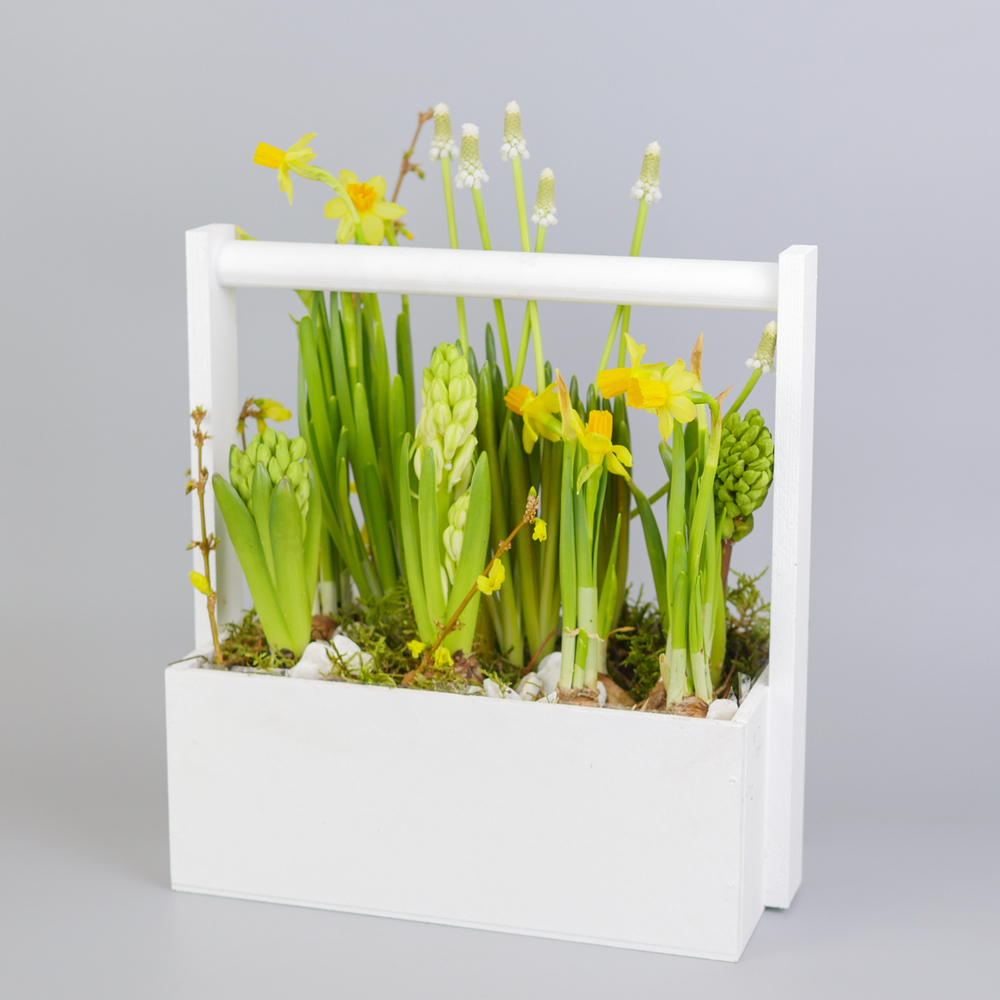 Композиция с первоцветами Белая коробка