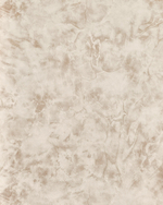 Флауверс фон - 61 (бежевая)