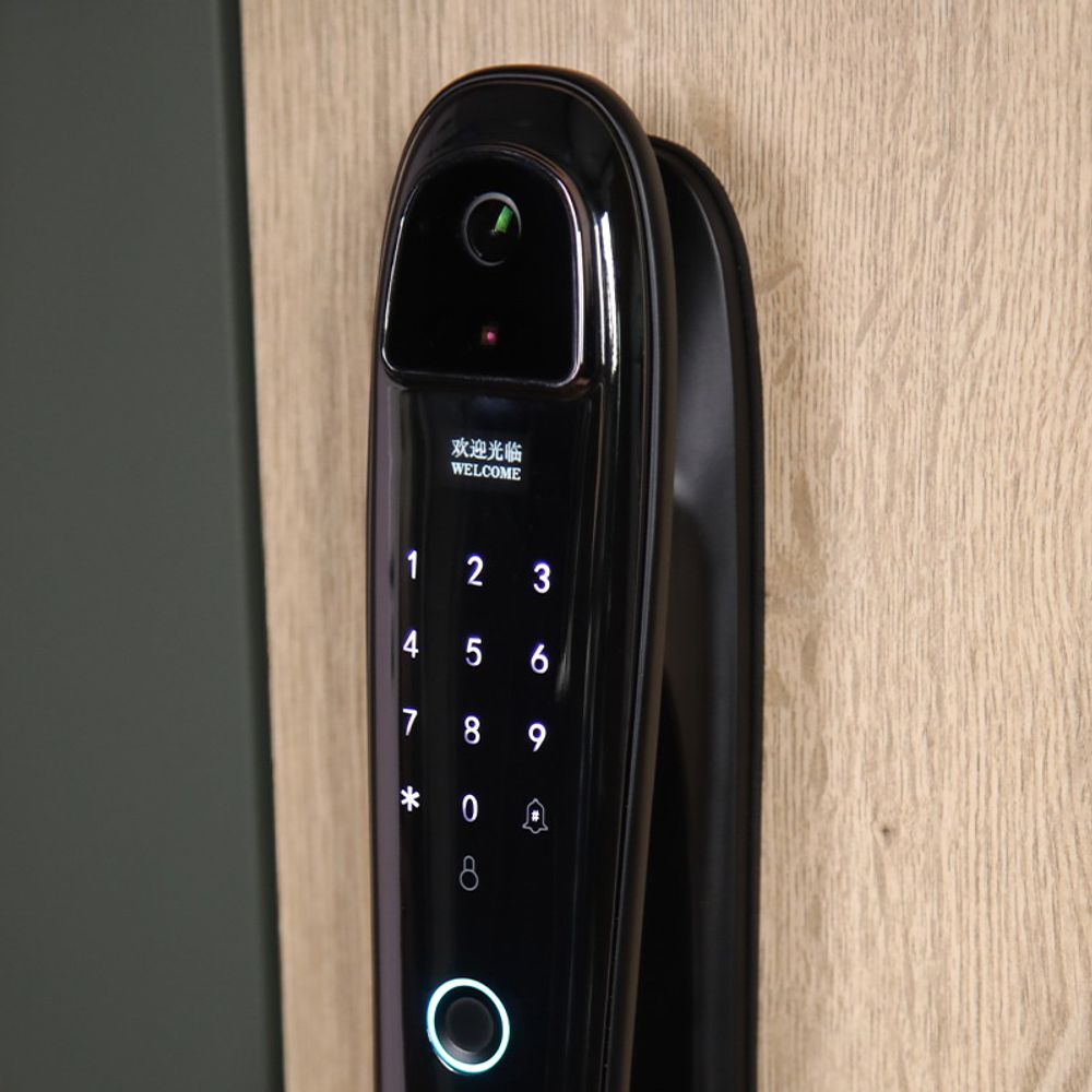 Стальная дверь "Ferrum" (биометрический замок)