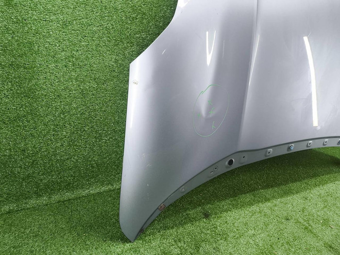 Капот Zeekr 001 (2021-н.в.) (В пленке)