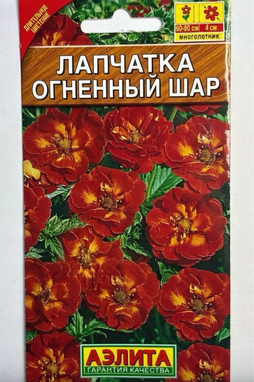Лапчатка Огненный шар СМЦ-639