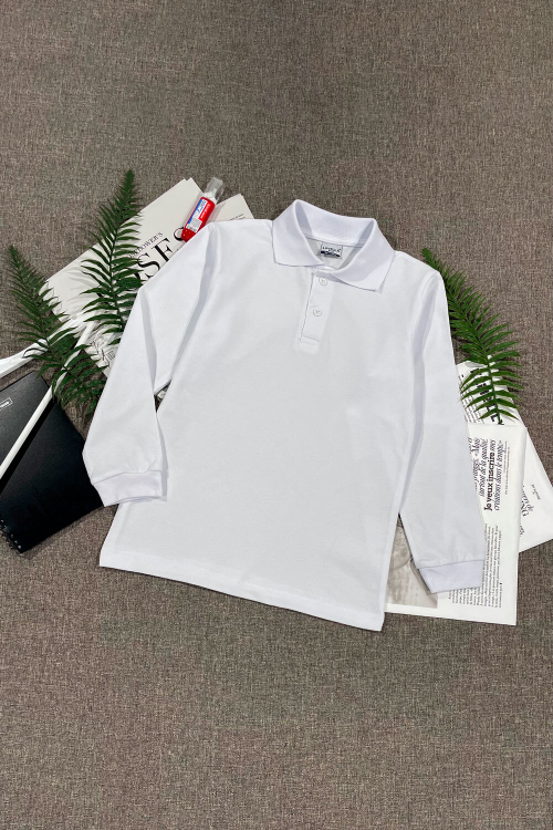 Поло для мальчиков д.р