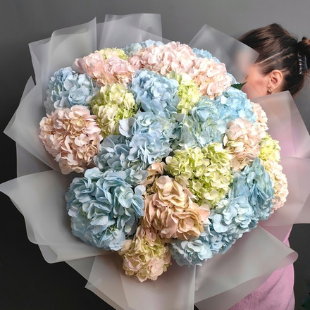 Букет из 25 гортензий