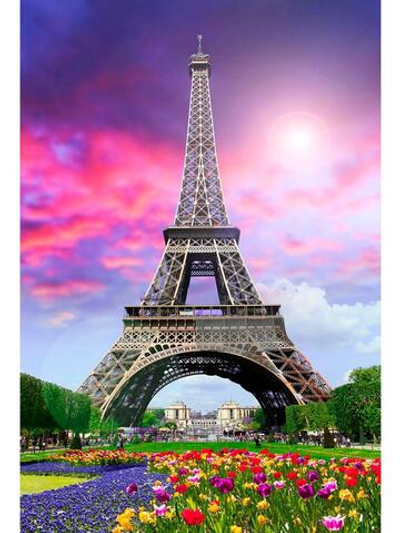 Алмазная мозаика 30х40см. "Цветущий Париж" блест. с полн.заполнен.без подрам.(30цв) (Арт.НД-2674)