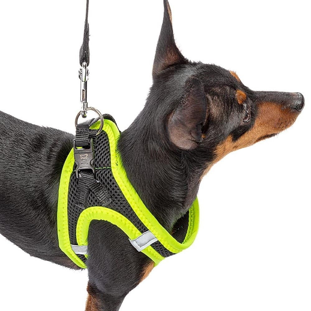 Шлейка KAORI P XS черно-желтая, об.груди 32-36см_2