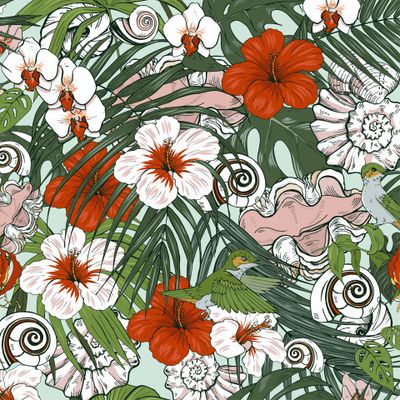 ракушки и тропические растения