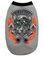 Одежда для кошек сфинкс