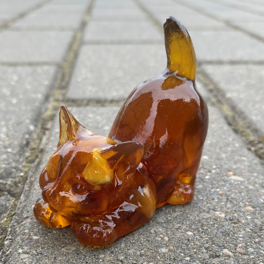 Котёнок игривый