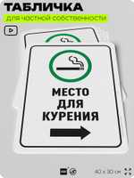 Табличка для частной территории "Место для курения", на дом, для участка, для подъезда, организаций и частных территорий, предупреждающая, 40х30 см, Silver Plane x Айдентика Технолоджи