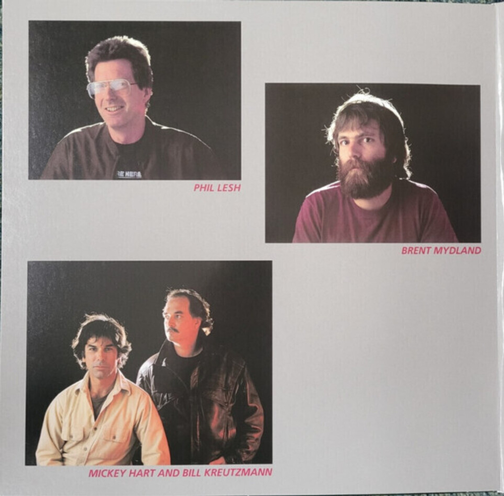 Grateful Dead / In The Dark (Limited Edition)(Coloured Vinyl)(LP)