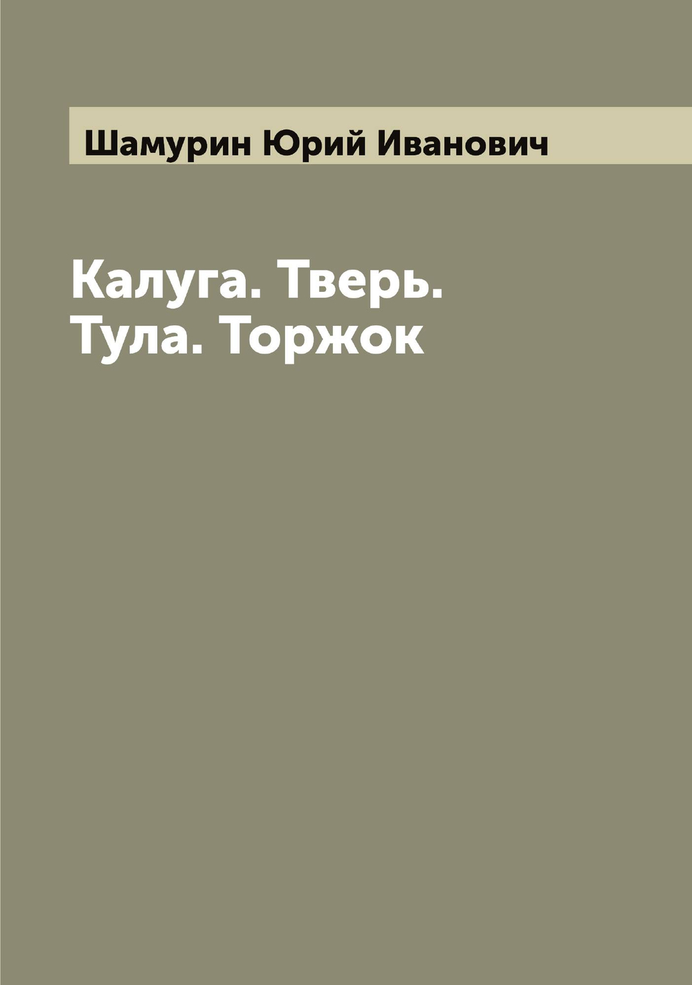 Калуга. Тверь. Тула. Торжок | Шамурин Юрий Иванович