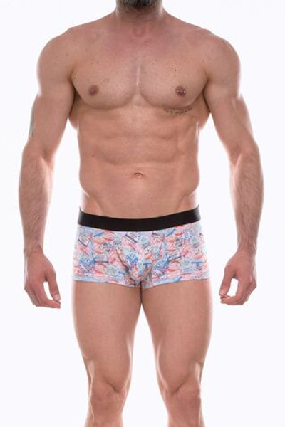 Мужские трусы-боксеры с принтом в виде штемпелей (Размер: L) (Цвет: разноцветный)