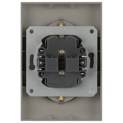 Розетка ЭРА Arktik 16-2105-07 двойная с заземлением 2X2P+E Schuko со шторками 16А-250В титан | Эра Arktik