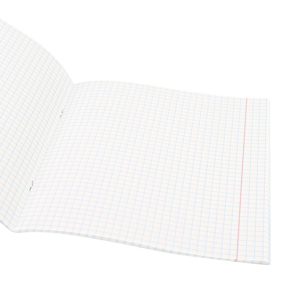 Тетрадь 48л., А5, клетка, Проф-Пресс, "Летающий кот", скрепка, обл. мелован. картон, твин-лак, фольга