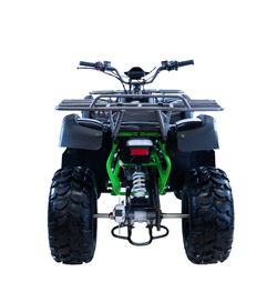 MOTAX ATV Grizlik 200 cc 4TЧерно-зеленый
