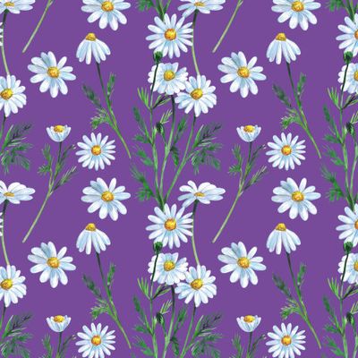 Ромашки на фиолетовом