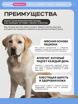Корм сухой для взрослых собак породы Лабрадор-ретривер, премиум полнорационный комплекс, с говядиной, 12 кг, QUATTRO