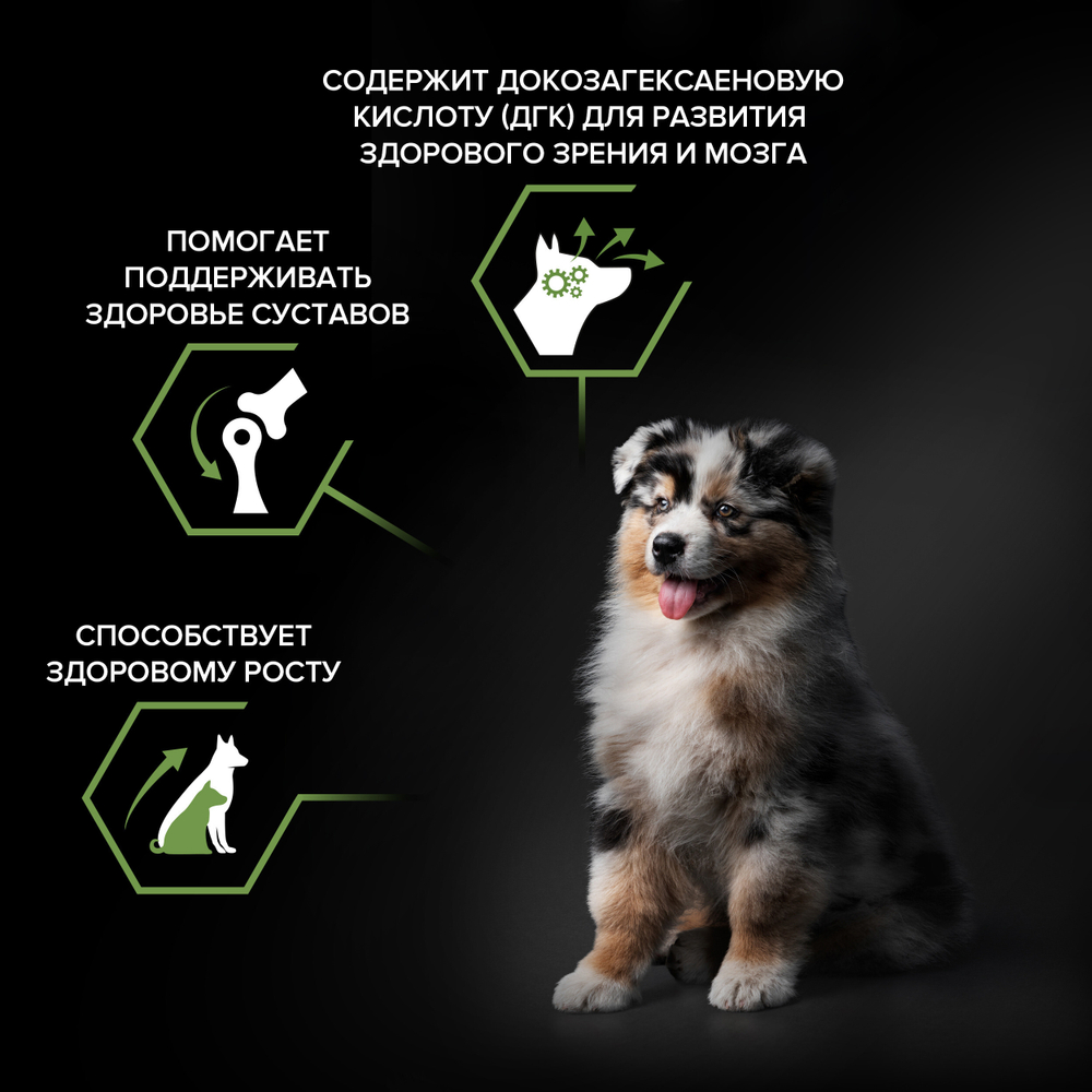 Сухой корм PRO PLAN HEALTHY Start для щенков средних пород с курицей 3 кг