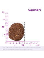 Сухой корм Gemon Dog Medium для взрослых собак средних пород, с ягненком и рисом 15 кг