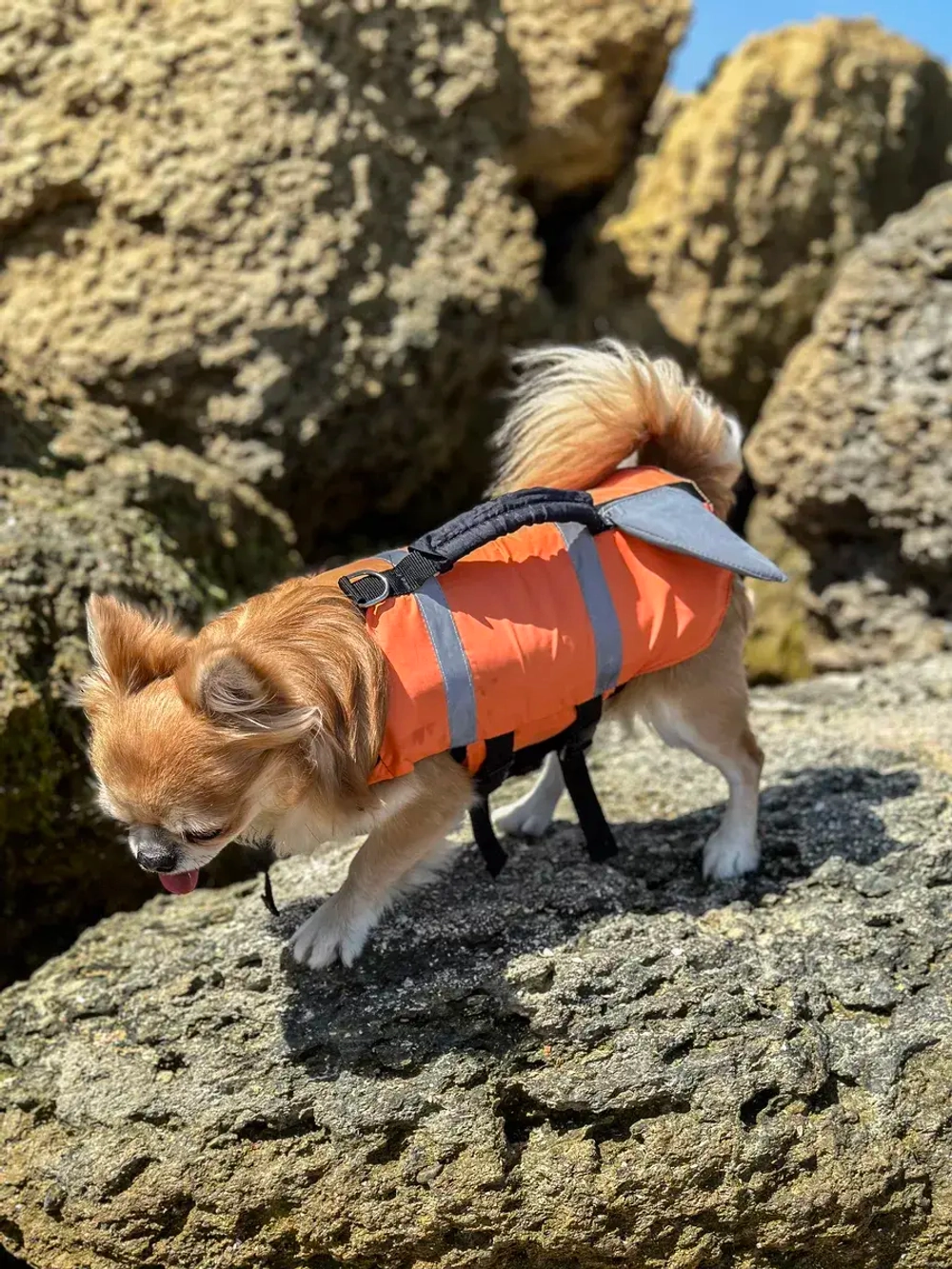 Спасательный жилет для собак и всех животных