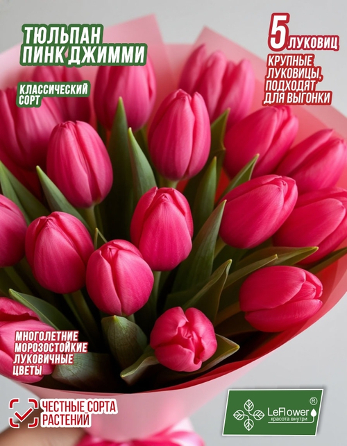 Тюльпан Луковица, Пинк Джимми, 5 шт, разбор 12+