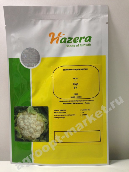 Рауль F1 семена капусты цветной (Hazera / Хазера) – фото 2