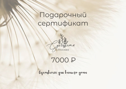 Подарочный сертификат 7 000 рублей