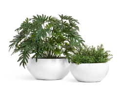 Кашпо TREEZ Effectory - серия Gloss - Низкая полусфера - Белый глянцевый лак