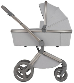 Детская коляска Anex Flo 2 в 1 Frossy