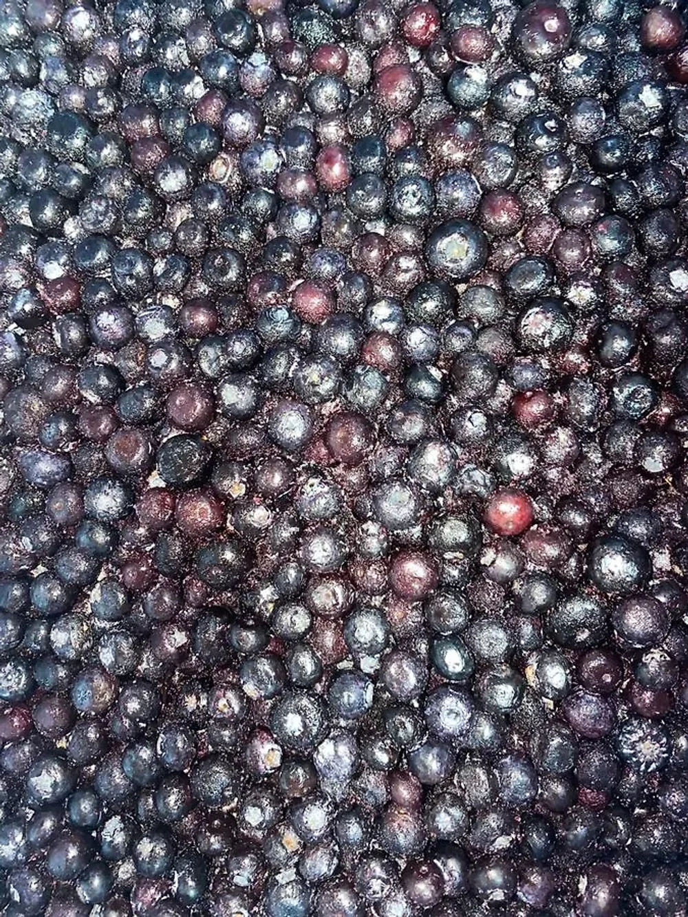 Черника мороженая 400гр, Китай