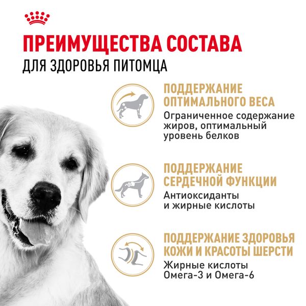 Сухой корм Royal Canin Golden Retriever Adult для взрослых собак породы Голден Ретривер от 15 месяцев