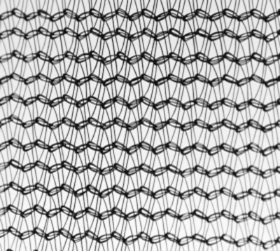 ARLAND Батут 12FT с внутренней страховочной сеткой и лестницей (Light green)