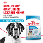 Royal Canin Giant Junior Джайнт Юниор Корм сухой для щенков очень крупных пород возраст от 8 до 18/24 месяцев 15кг