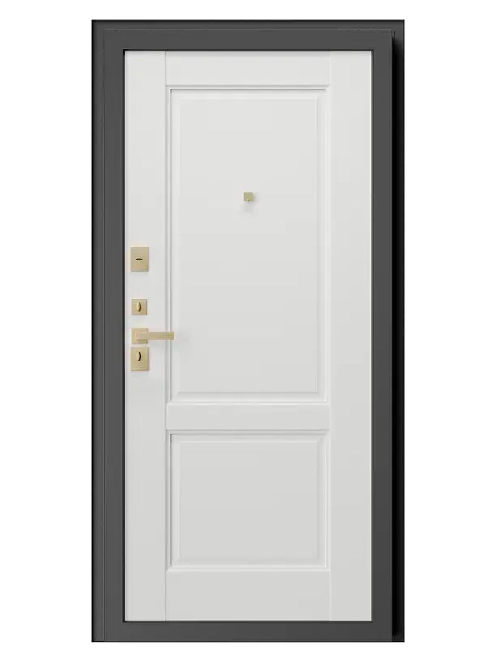Входная дверь Comfort MP 2.1