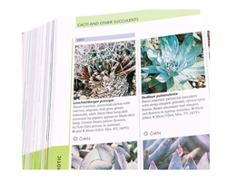 RHS Encyclopedia of plants and flowers