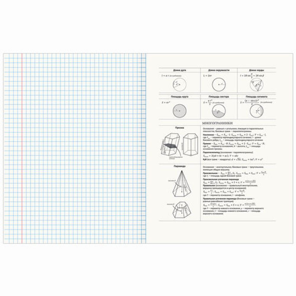 Тетрадь предметная "AVOCADO" 48 л., глянцевый лак, ГЕОМЕТРИЯ, клетка, BRAUBERG, 404278