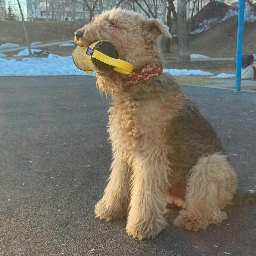 Цилиндрическая подушка "Турбо" с двумя ручками