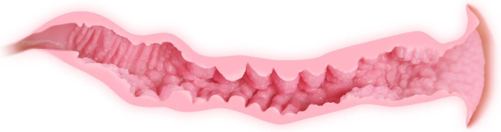 Телесный мастурбатор Veronia с двойным слоем материала (Цвет: телесный)