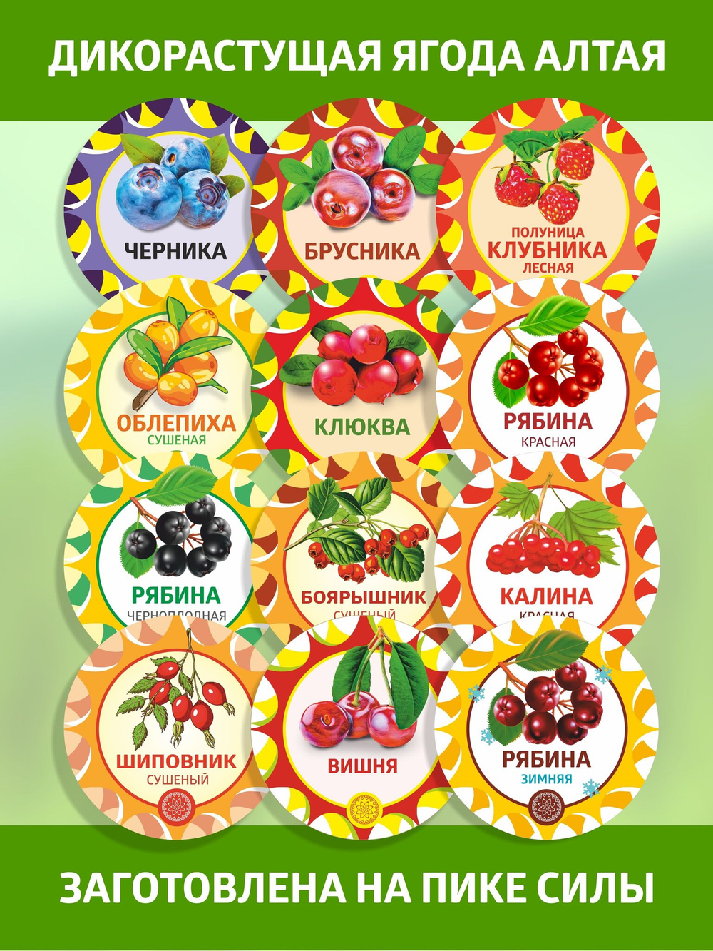 Клубника Луговая - Полуница дикая, 30 г. ягода сушеная