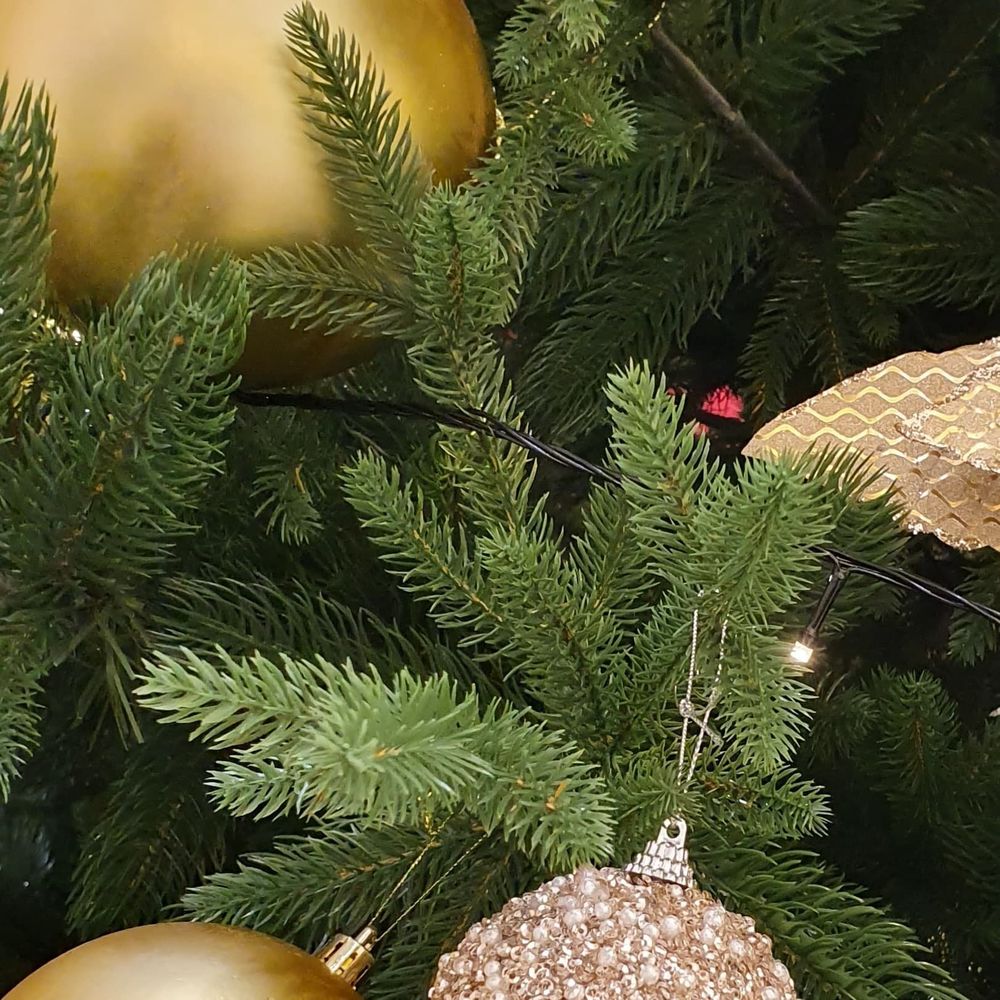 Ствольная елка «Виктория» (Литая хвоя) от 3 м до 6 м